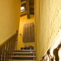 Ginkgos Escalera de acceso al piso superior